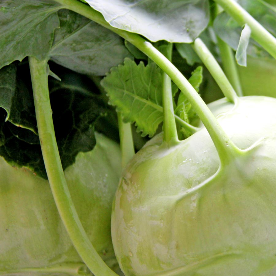 Kohlrabi