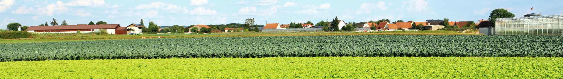 Gemüsebau Behringer