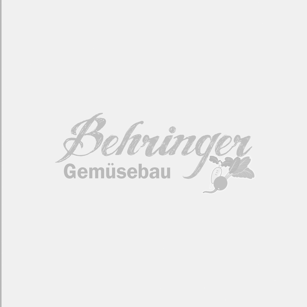 Rezept Behringer